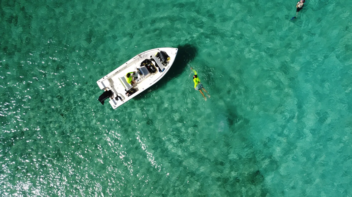 Guided boat diving in Aruba